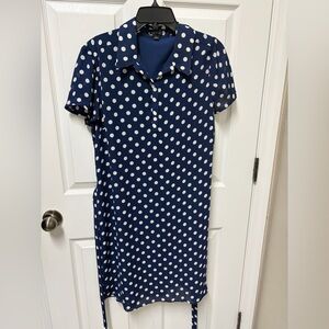 Ann Taylor Navy Polka Dot Dress